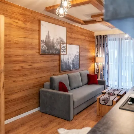 Apartamenty Sun & Snow Resorts G Bialka Tatrzanska Z Sauna Exterior photo